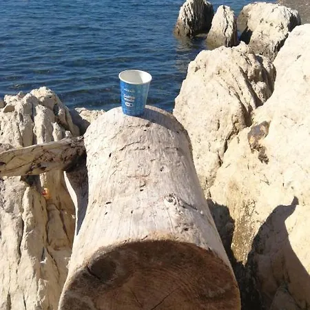 Near The Sea Bilo Primosten