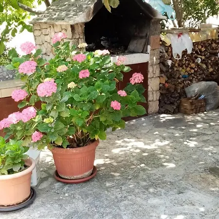 Near The Sea Bilo